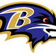 Illustration for article titled Let's Fix All The Bird Logos In Pro Sports